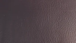 Rogue Adjustable Bench 2.0 18 Rogue Adjustable Bench 2.0 -Fitness Equipment Store 37a749d808e46495a8da1e5352d03cae 5e0e63bb082d9 600x337 1