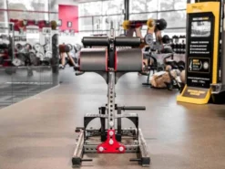 Sorinex Glute Ham Developer -Fitness Equipment Store 66e8ba8216a1e152d72653d99a4f03ab 5d0a756aeec35 600x450 1